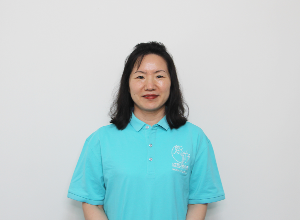 进口报关高效通关，威胜物流专业护航